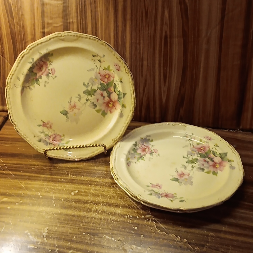 Vintage 1933 Edwin Knowles rose pattern plates